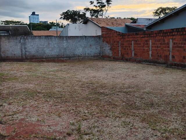 Área para Venda em São José do Rio Preto - 4
