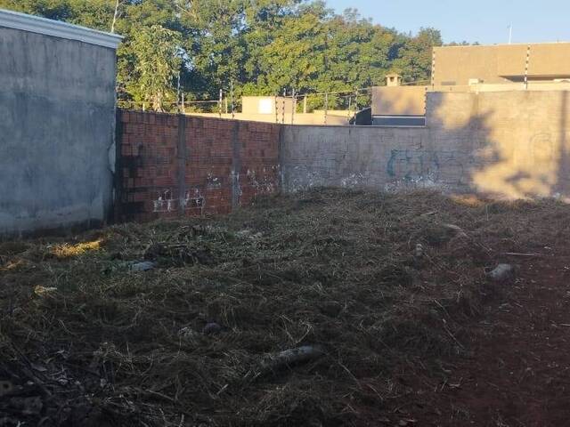Área para Venda em São José do Rio Preto - 2