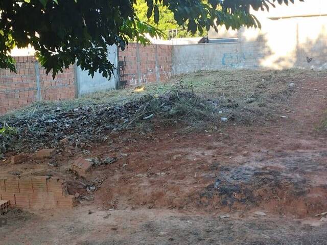 Área para Venda em São José do Rio Preto - 3