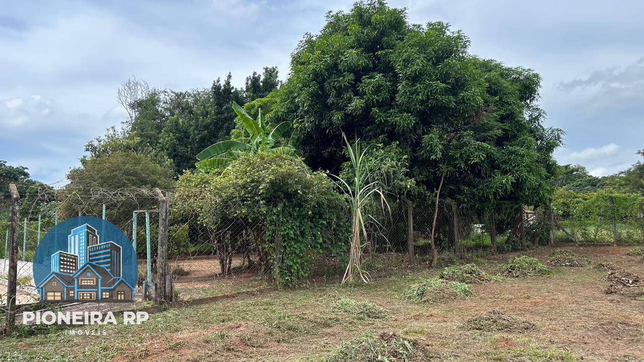 Sítio, 4 quartos, 1000 m² - Foto 9